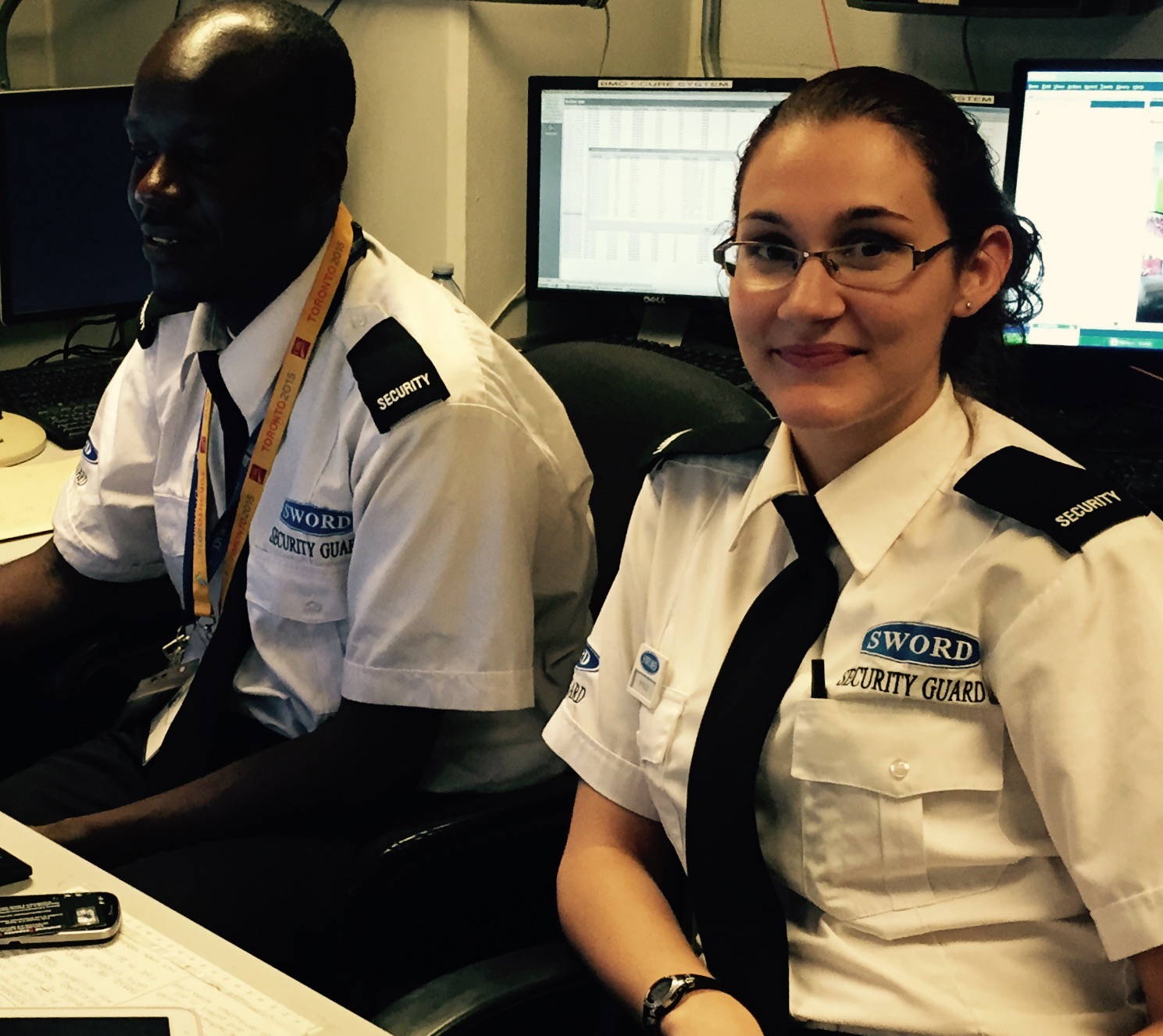 Static Guarding Security by Sword Security